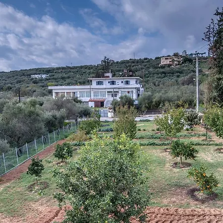 Villa George