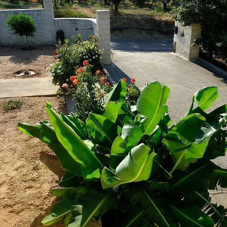 Villa George Agioi Apostoli (Crete)